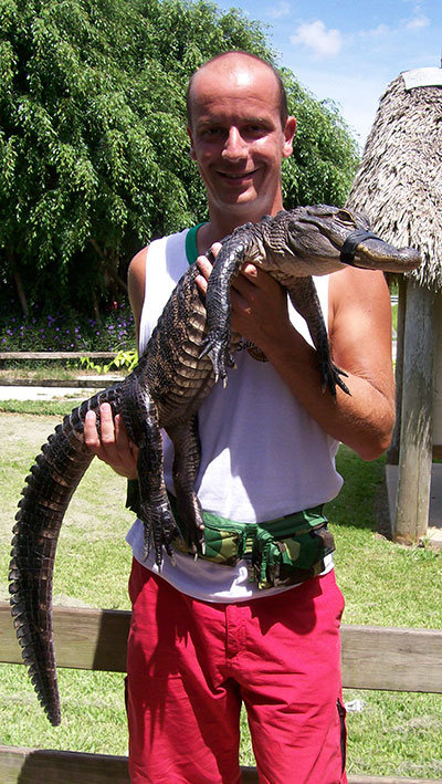 Everglades Alligator