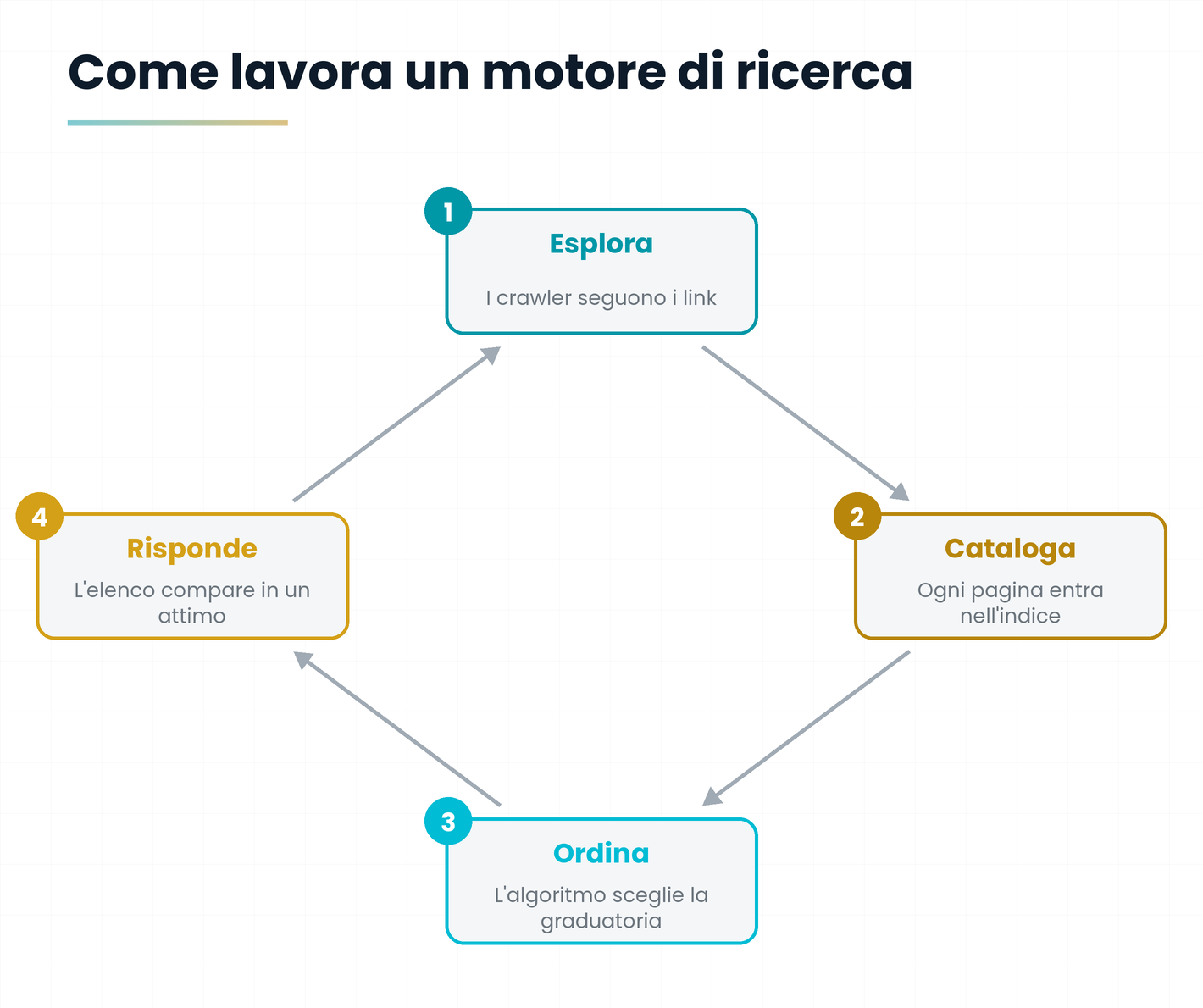 Ciclo di quattro fasi: esplora, cataloga, ordina, risponde