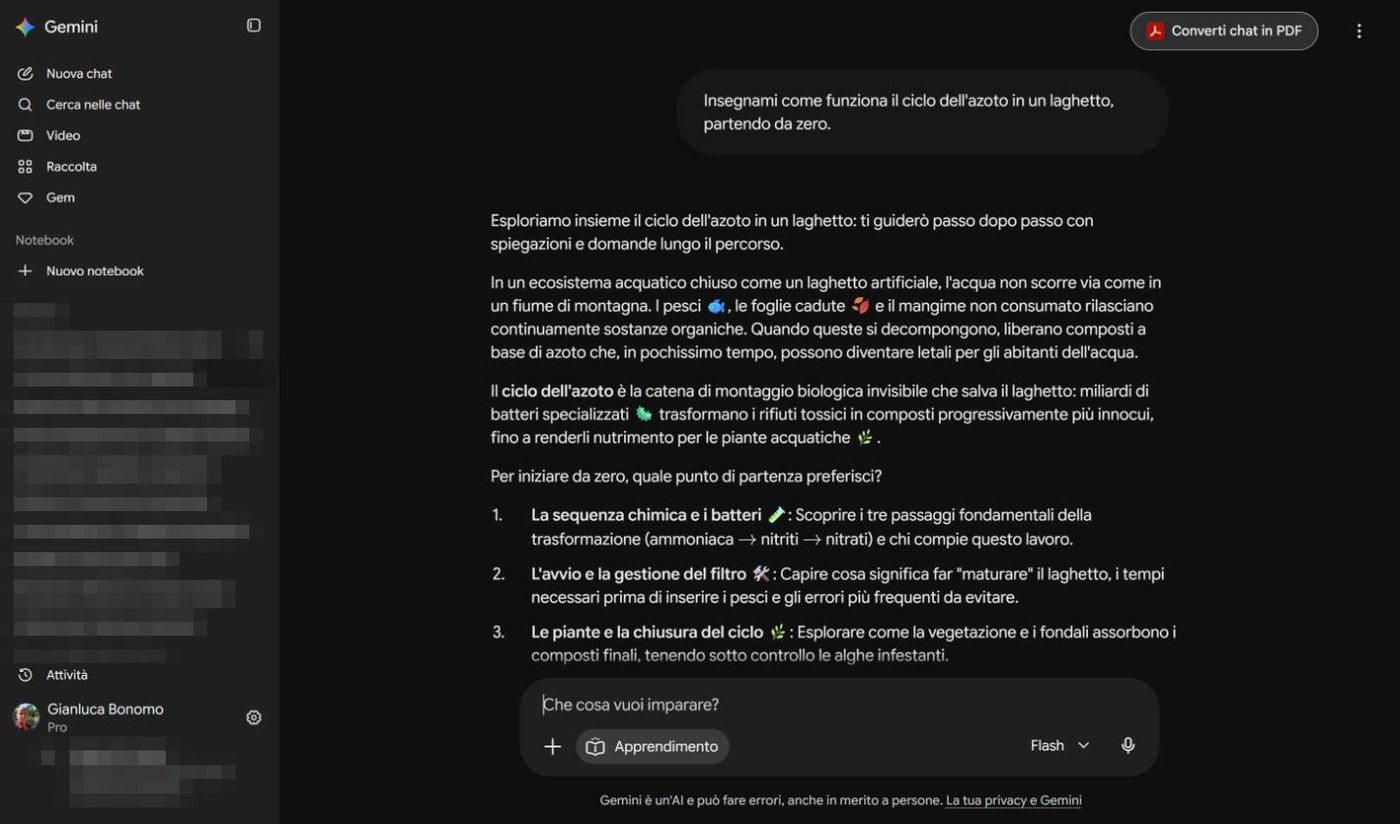 Risposta di Apprendimento guidato sul ciclo dell'azoto con tre percorsi numerati