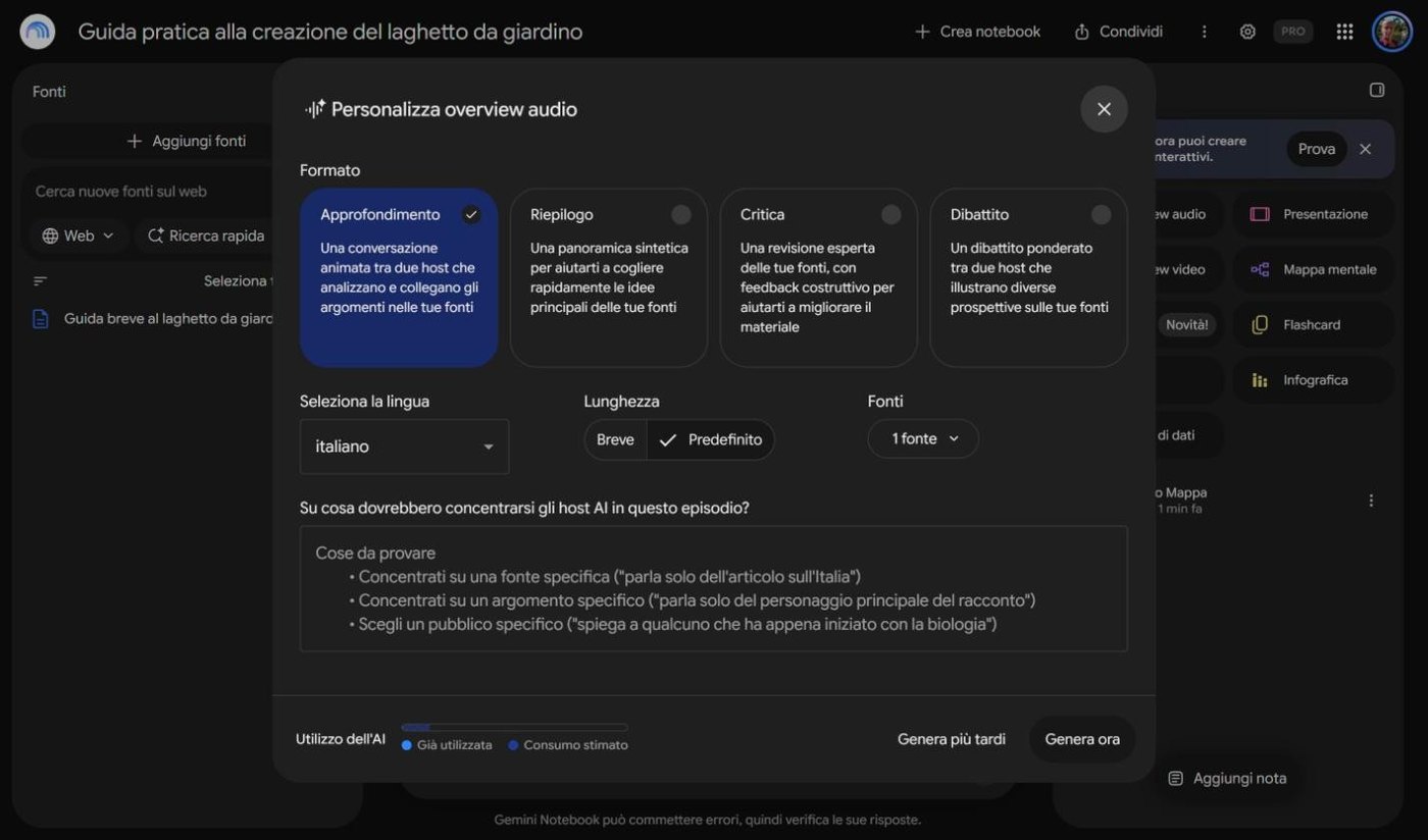 Finestra con i formati Approfondimento, Riepilogo, Critica, Dibattito, lingua e lunghezza