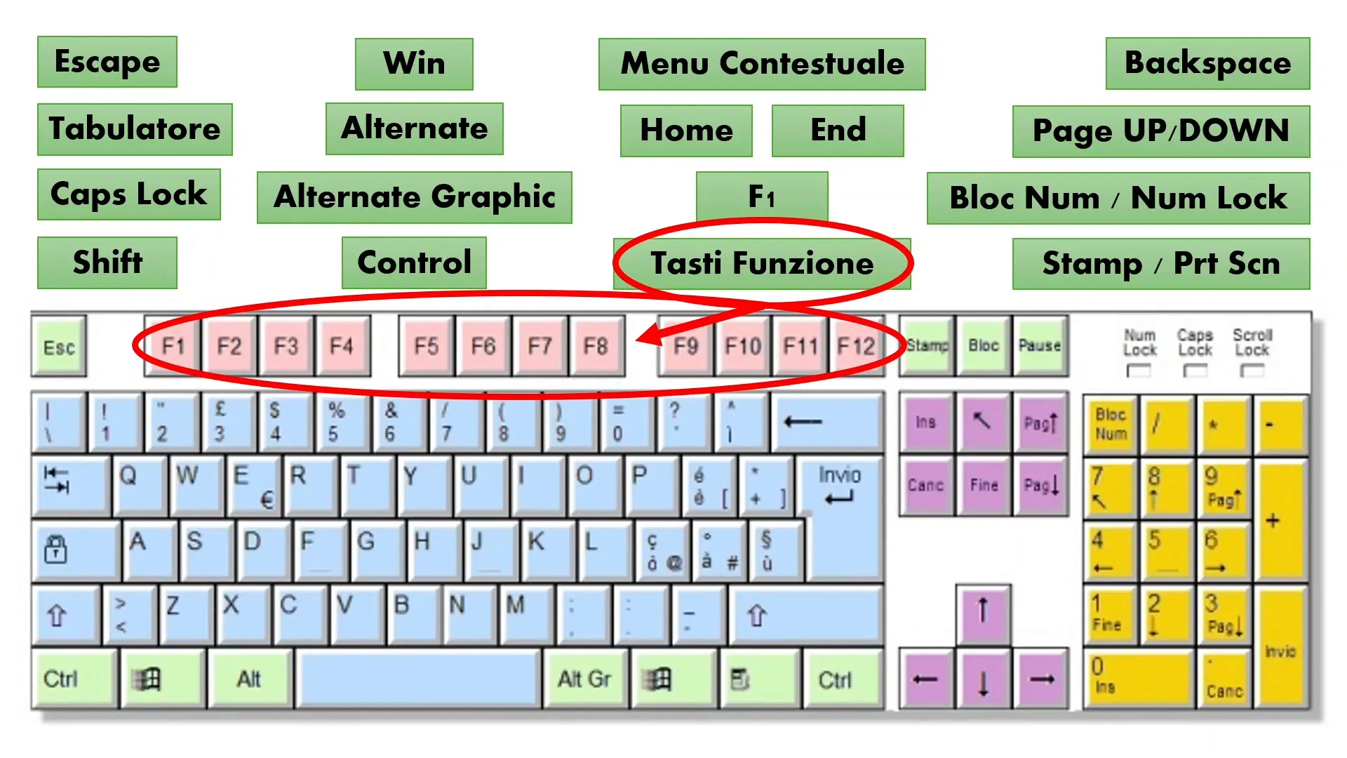 Tasti funzione F1-F12