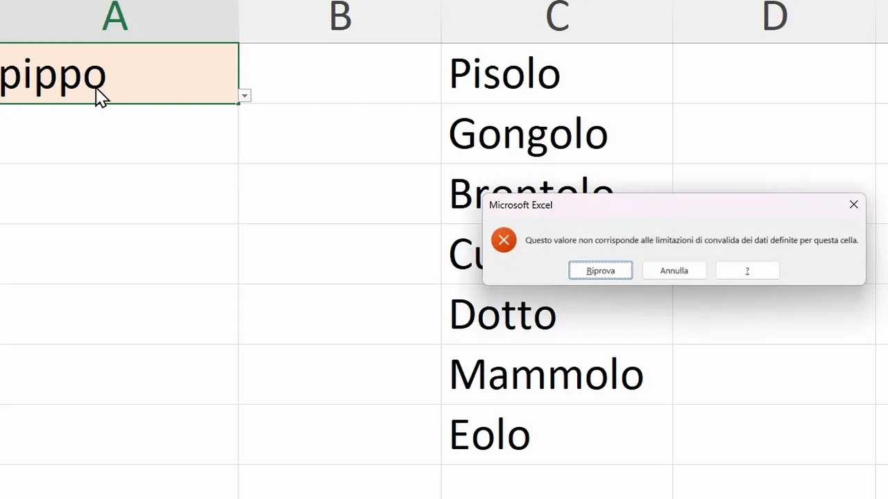 Excel error message: This value does not match the data validation restrictions defined for this cell